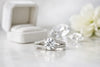 Split Shank Engagement Ring Design Guide