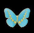 Custom Order