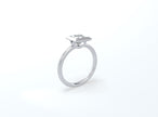Princess Cut Bezel Ring - Platinum - Bodega