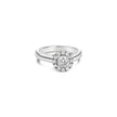 Round Brilliant ring with Halo - Platinum - Bodega