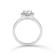 Pear Diamond Ring with halo - Platinum - Bodega
