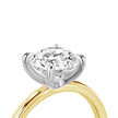 Round Brilliant Solitaire Ring - Two tone Gold - Bodega