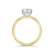Round Brilliant Solitaire Ring - Two tone Gold - Bodega