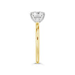 Round Brilliant Solitaire Ring - Two tone Gold - Bodega