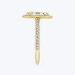 Halo Marquise Solitaire Ring - Yellow Gold - Bodega