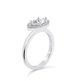 Marquise Cut Halo Ring - Platinum - Bodega